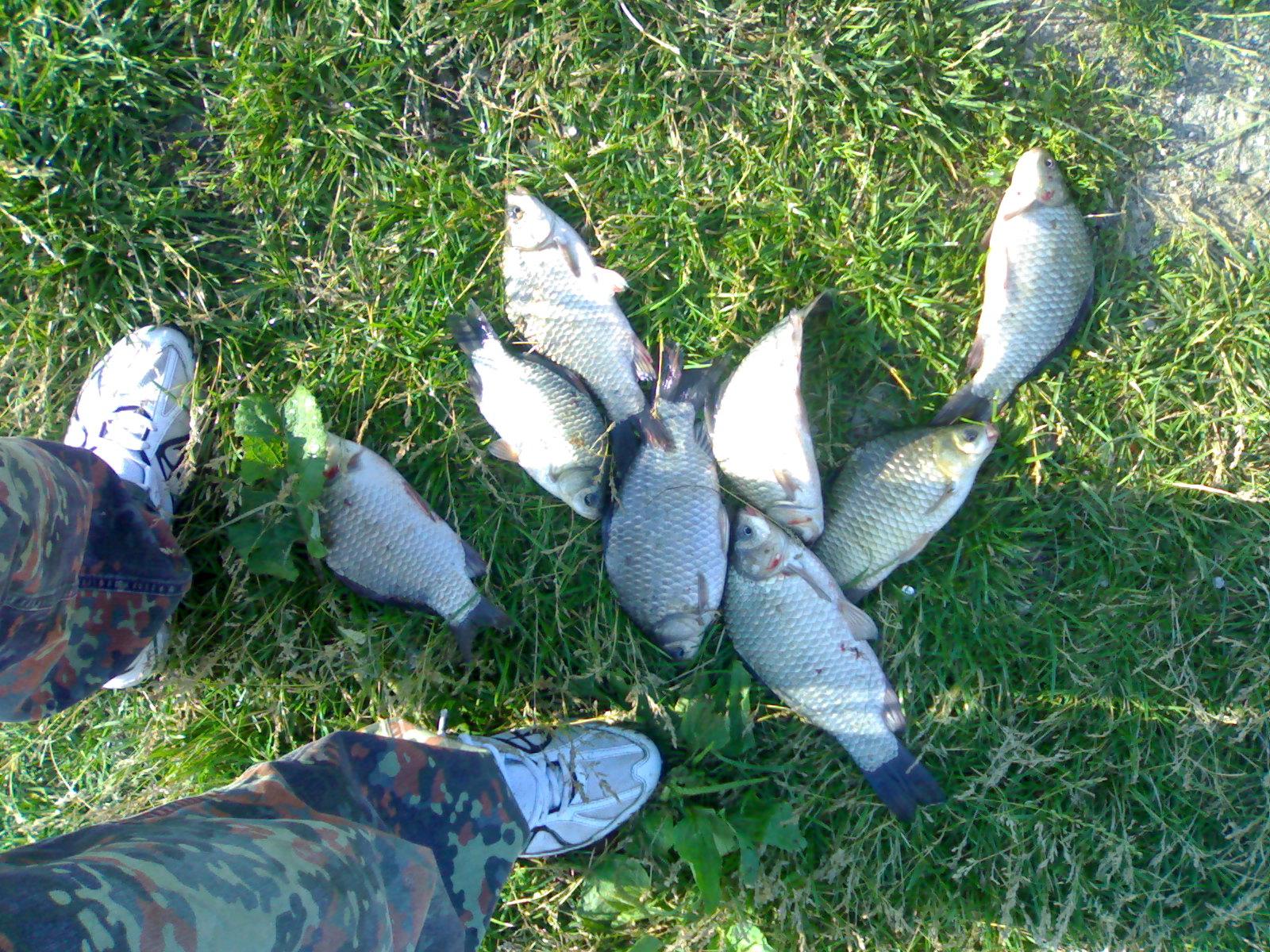 la crap - 28062009838.jpg